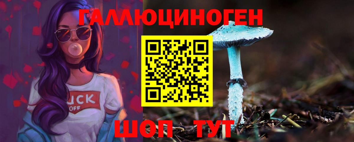 Курганинск  как найти закладки  Вход с VPN  Псилоцибиновые грибы Psilocybe  Псилоцибиновые грибы GOLDEN TEACHER 