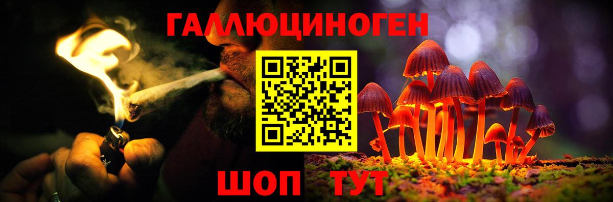 Галлюциногенные грибы мицелий Курганинск